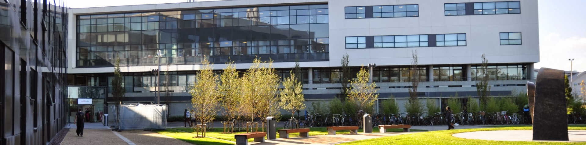 Global Health Scholarship